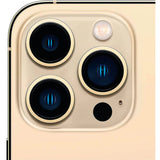 iPhone 13 Pro 256 Gb Grafito Libre (condición Excelente)